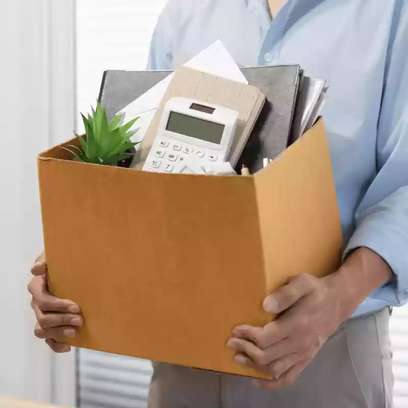 démission démission