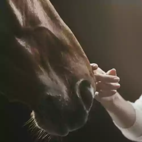 1080f65625a1b45fe2e851508a0502b63b01906e