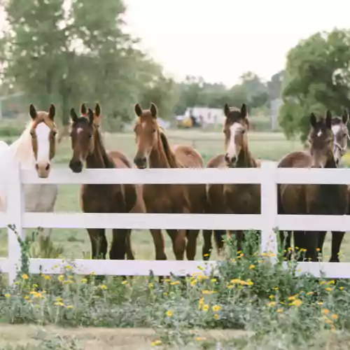 fe95772323753c46e4622dbaf823c9b48a73cd46