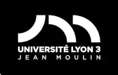 UNIVERSITE LYON 3 LOGO
